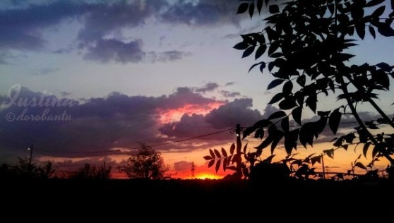 14-iul-2017 - Edited